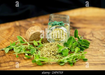 Wildes Origanum, wildes Marjoram (Origanum vulgare), frischer Oregano und in einem Glas gerieben Stockfoto