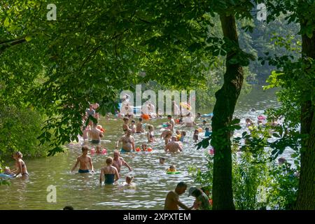 Schlachtensee, Badesee, Sommer in Berlin, See, Bezirk Steglitz-Zehlendorf, Grunewald, Berlin, Deutschland, Europa Stockfoto