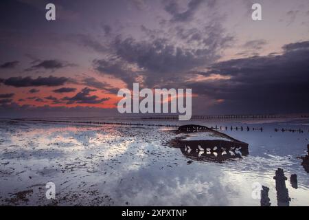 Schiffswrack von Wierum bei Ebbe am Morgen, Niederlande, Frisia, Wierumerwad, Wierum Stockfoto