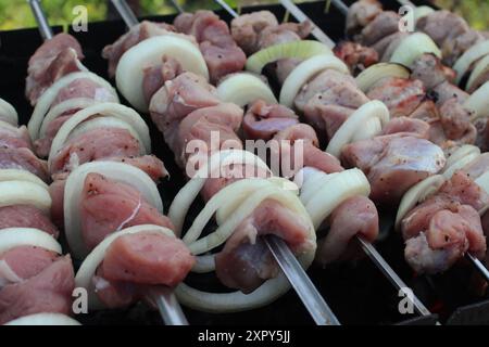 Fleisch auf Spießen. Picknick am Wochenende, Kochen am Lagerfeuer, Kohlen, draußen. Stockfoto