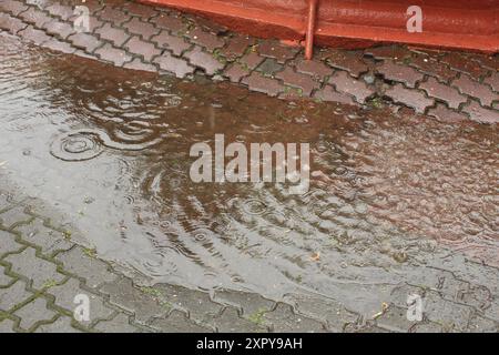 Pfützen während des Regens. Kreise aus Regentropfen. Eine Pfütze während des Regens. Wellen auf dem Wasser. Stockfoto