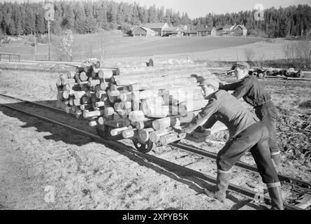 Aktuell 10-1948: Die Zivilisation holt die Hølandsbanen ein. Hølandsbanen ist eine Schmalspurbahn im Landkreis Akershus, die vom Bahnhof Sørumsand an der Kongsvingerbanen zum Bahnhof Skullerud in Aurskog-Høland führte. Holz wird mit der Bahn transportiert. Foto: Sverre A. Børretzen / aktuell / NTB ***das Foto ist nicht bearbeitetes Bild*** dieser Bildtext wird automatisch übersetzt dieser Bildtext wird automatisch übersetzt dieser Bildtext wird automatisch übersetzt Stockfoto