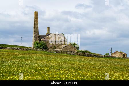 Farmen in North Pennines, Cumbria, Durham, Northumberland, North Yorkshire, England Stockfoto