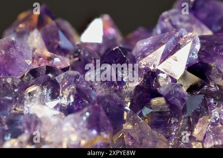 Amethyst geode auf schwarzem Hintergrund. Schönen natürlichen Kristallen Edelstein. Extreme Nahaufnahme Makroaufnahme. Stockfoto