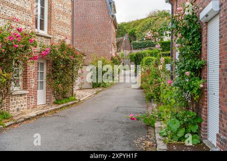 Landschaft rund um Veules-les-Roses, eine Gemeinde im Departement seine-Maritime in der Normandie in Nordfrankreich Stockfoto