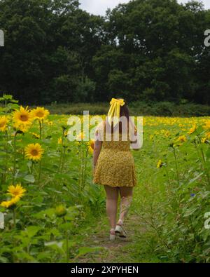 Birmingham, Großbritannien. August 2024. Der Sommer ist endlich in Birmingham angekommen, und auf der Becketts Farm Wythall blühen viele wunderschöne Sonnenblumen, die Besucher aus der ganzen Region zu einem spektakulären Naturschauspiel gebracht haben. Quelle: Tony Nolan/Alamy Live News Stockfoto