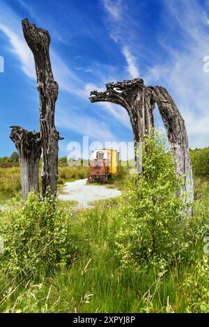 „Bog Track“, auch bekannt als „The Black Forest“, eine Skulptur von Johan Sietzema im Lough Boora Discovery Park von Bord na Mona im County Offaly, Irland. Stockfoto