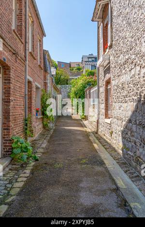 Landschaft rund um Veules-les-Roses, eine Gemeinde im Departement seine-Maritime in der Normandie in Nordfrankreich Stockfoto