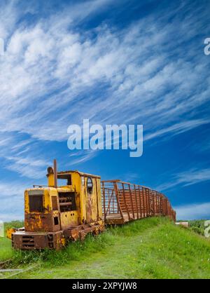 The Sky Train, eine Umweltskulptur von Michael Bulfin im Lough Boora Discovery Park von Bord na Mona im County Offaly, Irland. Stockfoto