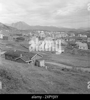 Aktuell 18-1949: Das Bulldozer Offensive Foto; Sverre A. Børretzen / aktuell / NTB ***FOTO NICHT BEARBEITET*** dieser Bildtext wird automatisch übersetzt dieser Bildtext wird automatisch übersetzt Stockfoto