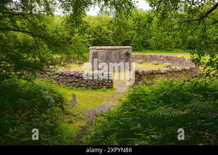 The Gathering of Stones, eine Umweltskulptur im Lough Boora Discovery Park von Bord na Mona im County Offaly, Irland. Stockfoto