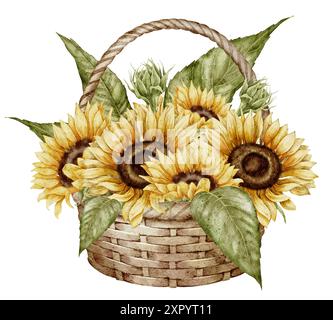 Sonnenblumen in bösen Korb Aquarellillustration. Zeichnung mit Herbstblumen im rustikalen Stil auf isoliertem Hintergrund für Grußkarten oder Herbstpartyeinladungen. Vintage-Kunstwerke mit Blumenmuster. Stockfoto
