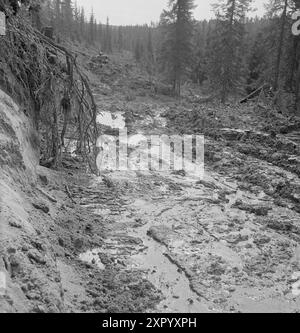 Aktuell 18-1949: Das Bulldozer Offensive Foto; Sverre A. Børretzen / aktuell / NTB ***FOTO NICHT BEARBEITET*** dieser Bildtext wird automatisch übersetzt dieser Bildtext wird automatisch übersetzt Stockfoto