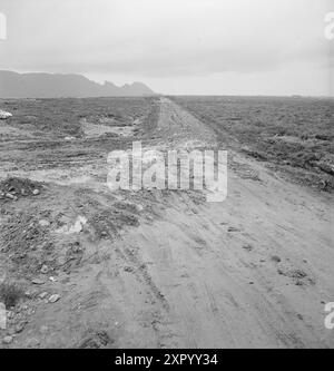 Aktuell 18-1949: Das Bulldozer Offensive Foto; Sverre A. Børretzen / aktuell / NTB ***FOTO NICHT BEARBEITET*** dieser Bildtext wird automatisch übersetzt dieser Bildtext wird automatisch übersetzt Stockfoto