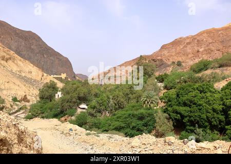 Die Berglandschaft rund um die heißen Quellen von Ma'in in Jordanien (Bergwasserfälle mit heißem Wasser und Dampf) Stockfoto
