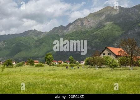 Pastoralszenen im ländlichen Gusinje, Montenegro Stockfoto