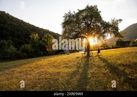Weibliche Touristin, Radfahrerin auf einer Radtour, sitzt auf einer Schaukel unter einem wunderschönen Baum mit einem Sonnenuntergang im Rücken und erkundet die Region Dolenjska, Slowenien Stockfoto