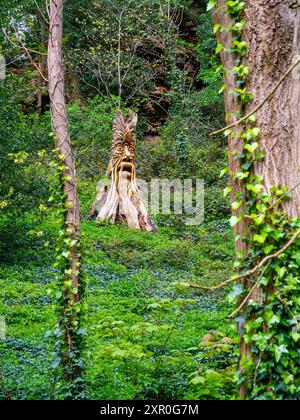 Holzskulptur eines Gesichts des Motorsägenkünstlers Tommy Craggs in der Waterside Gegend von Knaresborough, einer Stadt in North Yorkshire England Großbritannien Stockfoto