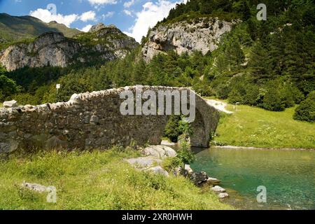 Die romanische Brücke Puente Románico de San Nicolás de Bujaruelo über den Fluss Ara im Bujaruelo-Tal oder Valle de Bujaruelo bei Torla-Ordesa, Spanie Stockfoto