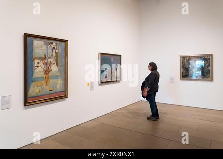 Frau, die Gemälde im Pier Arts Centre, Stromness, Orkney ansieht. Stockfoto