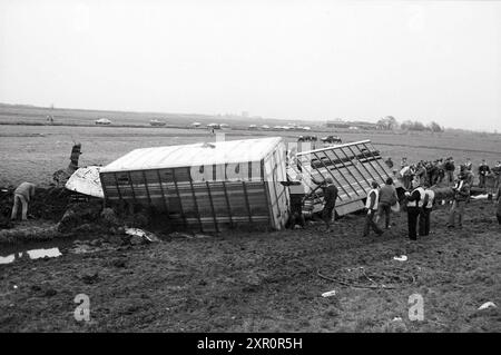 Cattle Truck in Graben, Viehzucht, Santpoort, 02-01-1984, Whizgle Dutch News: Historische Bilder zugeschnitten auf die Zukunft. Erkunden Sie die Vergangenheit der Niederlande mit modernen Perspektiven durch Bilder von niederländischen Agenturen. Verbinden der Ereignisse von gestern mit den Erkenntnissen von morgen. Begeben Sie sich auf eine zeitlose Reise mit Geschichten, die unsere Zukunft prägen. Stockfoto