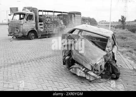 Massen nach Velsertunnel Unfall, Velsertunnel, 11-08-1978, Whizgle Dutch News: Historische Bilder zugeschnitten auf die Zukunft. Erkunden Sie die Vergangenheit der Niederlande mit modernen Perspektiven durch Bilder von niederländischen Agenturen. Verbinden der Ereignisse von gestern mit den Erkenntnissen von morgen. Begeben Sie sich auf eine zeitlose Reise mit Geschichten, die unsere Zukunft prägen. Stockfoto