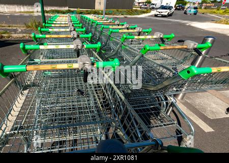 Eine Reihe von Einkaufswagen mit grünen Griffen, die auf einem Außenparkplatz unter hellem Sonnenlicht ordentlich angeordnet sind. Stockfoto