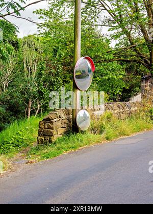 Zwei konvexe Verkehrsmelder, die an einer ländlichen Straßenkreuzung montiert sind und von üppigem Grün umgeben sind. Stockfoto