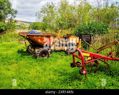 Veraltete Landwirtschaftsgeräte befinden sich ungenutzt auf einem üppigen grünen Feld, umgeben von bewachsener Vegetation in einer ländlichen Umgebung. Stockfoto