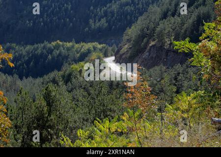 Straße durch den Herbstberg Mokra Gora im Südwesten Serbiens Stockfoto