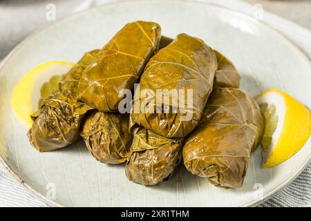 Gesunde griechische gefüllte Traubenblätter mit Zitrone und Füllung Stockfoto