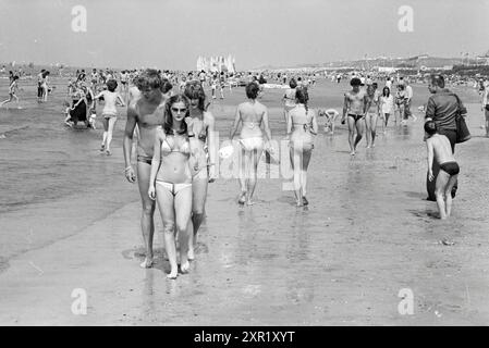 Busy Zandvoort, Busy, Zandvoort, Zandvoort, 09-05-1981, Whizgle Dutch News: historische Bilder für die Zukunft. Erkunden Sie die Vergangenheit der Niederlande mit modernen Perspektiven durch Bilder von niederländischen Agenturen. Verbinden der Ereignisse von gestern mit den Erkenntnissen von morgen. Begeben Sie sich auf eine zeitlose Reise mit Geschichten, die unsere Zukunft prägen. Stockfoto