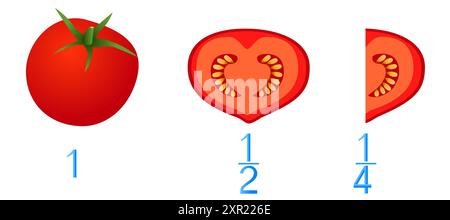 Mathematische Spiele für Kinder. Studieren Sie die Fraktionszahlen, Beispiel mit Tomaten. Stock Vektor