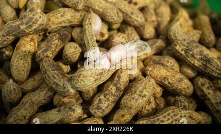 Geöffnete Nussschale bei einer Gruppe frisch gemahlener Erdnüsse aus dem Feld. Perfekt für Themen im Zusammenhang mit Landwirtschaft und Landwirtschaft. Stockfoto