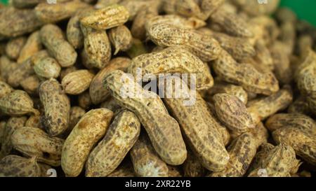 Gruppe von frisch gemahlenen Erdnüssen Ernte vom Feld. Perfekt für Themen im Zusammenhang mit Landwirtschaft und Landwirtschaft. Stockfoto