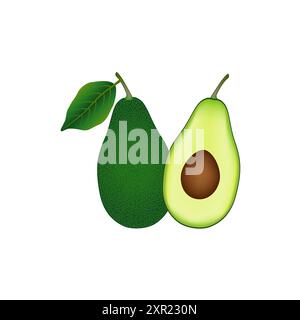 Eine ganze Avocadofrucht und anderthalb mit einem Knochen auf weiß. Stock Vektor