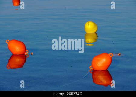 Eine rote und gelbe Boje schwimmt auf der Meeresoberfläche Stockfoto