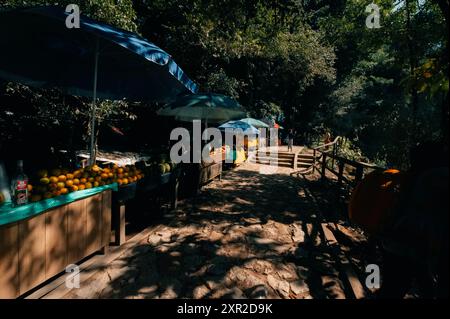 Panoramablick auf die Wasserfälle von Agua Azul in Mexiko - 2. Mai 2024. Hochwertige Fotos Stockfoto