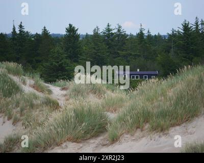 Blick von der Düne Rabjerg Mile auf ein kleines, niedliches Haus im Hintergrund des Waldes, Skagen, Dänemark. Stockfoto