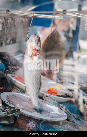 Frisch gefangener Fisch auf einem Fischmarkt Stockfoto