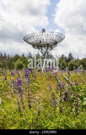 Ansicht des Westerbork Synthese Radio Telescope (WSRT) entlang des nationalen Gedenklagers in Westerbork in der Provinz Drenthe in den niederlanden. Stockfoto