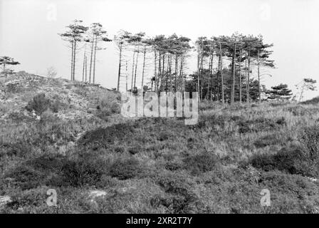 Kranflugzeug in Dünen Overveen, Zandvoort, Dunes, Overveen, 02-10-1985, Whizgle Dutch News: historische Bilder für die Zukunft. Erkunden Sie die Vergangenheit der Niederlande mit modernen Perspektiven durch Bilder von niederländischen Agenturen. Verbinden der Ereignisse von gestern mit den Erkenntnissen von morgen. Begeben Sie sich auf eine zeitlose Reise mit Geschichten, die unsere Zukunft prägen. Stockfoto