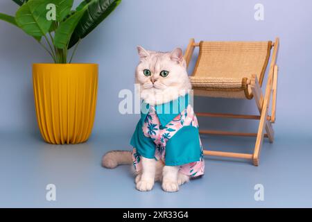 Charmante weiße Katze in blauem hawaiianischem Hemd, die neben einer Strohliege sitzt Stockfoto