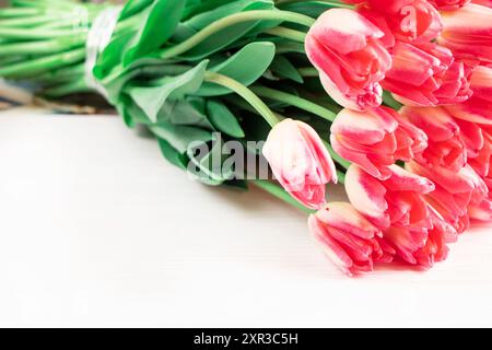 Pink Tulpe Variations Dreamland Nahaufnahme. Frisches Bouquet von Tulpenknospen. Stockfoto