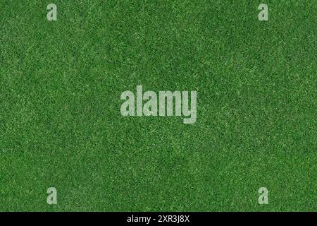 Gras - aus der Vogelperspektive eines großen Flecks von frisch geschnittenem, gesundem, grünem Gras. Das Bild kann zu einem wesentlich größeren nahtlosen Texturbild angefügt werden. Stockfoto
