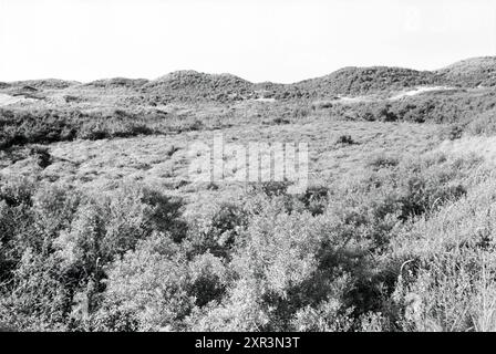 Kranflugzeug in Dünen Overveen, Zandvoort, Dunes, Overveen, 02-10-1985, Whizgle Dutch News: historische Bilder für die Zukunft. Erkunden Sie die Vergangenheit der Niederlande mit modernen Perspektiven durch Bilder von niederländischen Agenturen. Verbinden der Ereignisse von gestern mit den Erkenntnissen von morgen. Begeben Sie sich auf eine zeitlose Reise mit Geschichten, die unsere Zukunft prägen. Stockfoto