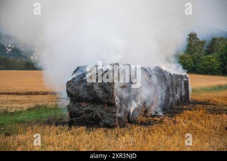 240808Strohballenbrand News ID: EN 2024-08-08-08, Strohballenbrand beschäftigt Einsatzkräfte Landwirte unterstützen Brandbekämpfung Gornau. Am Donnerstagabend gegen 19:50 Uhr ist auf einem Feld an der Eisenstraße ein Strohballenbrand ausgebrochen. Wie die Feuerwehr berichtet, standen bei Ankunft der ersten Kräfte, 30 Strohballen in Vollbrand. Umgehend begann man mit der Brandbekämpfung. Zeitgleich verhinderten die Kameraden eine weitere Ausbreitung des Brandes. Unterstützt werden die Löschmaßnahmen von Landwirten. Diese pflügten das Stoppelfeld um und nahmen so dem Feuer das brennbare Material. Au Stockfoto