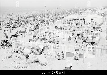 Busy Zandvoort, Busy, Zandvoort, 07-06-1965, Whizgle Dutch News: Historical Images Tailored for the Future. Erkunden Sie die Vergangenheit der Niederlande mit modernen Perspektiven durch Bilder von niederländischen Agenturen. Verbinden der Ereignisse von gestern mit den Erkenntnissen von morgen. Begeben Sie sich auf eine zeitlose Reise mit Geschichten, die unsere Zukunft prägen. Stockfoto
