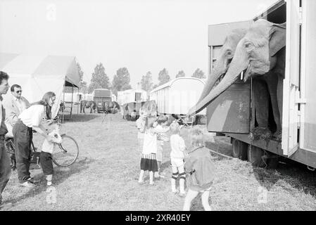 Bau des Zirkus Renz in Schalkwijk, Haarlem, Niederlande, 07-05-1990, Whizgle Dutch News: Historische Bilder zugeschnitten auf die Zukunft. Erkunden Sie die Vergangenheit der Niederlande mit modernen Perspektiven durch Bilder von niederländischen Agenturen. Verbinden der Ereignisse von gestern mit den Erkenntnissen von morgen. Begeben Sie sich auf eine zeitlose Reise mit Geschichten, die unsere Zukunft prägen. Stockfoto