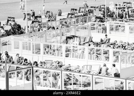 Geschäftiger Strandboulevard Zandvoort, geschäftig, Zandvoort, Strand und Strände, Zandvoort, Boulevard Barnaart, 22-04-1984, Whizgle Dutch News: historische Bilder zugeschnitten auf die Zukunft. Erkunden Sie die Vergangenheit der Niederlande mit modernen Perspektiven durch Bilder von niederländischen Agenturen. Verbinden der Ereignisse von gestern mit den Erkenntnissen von morgen. Begeben Sie sich auf eine zeitlose Reise mit Geschichten, die unsere Zukunft prägen. Stockfoto